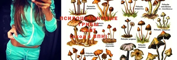 MDMA Беломорск