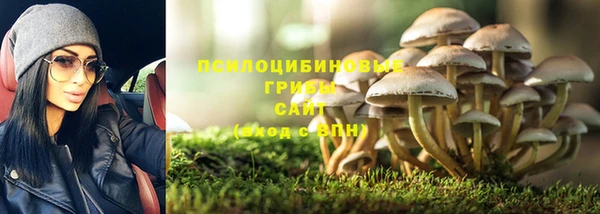 MDMA Беломорск