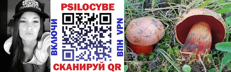 Галлюциногенные грибы Cubensis Мончегорск